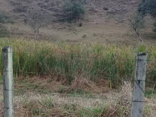 Área para Venda em Nazaré Paulista - 5