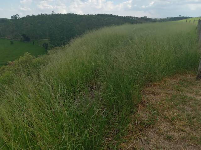 #40 - Área para Venda em Igaratá - SP