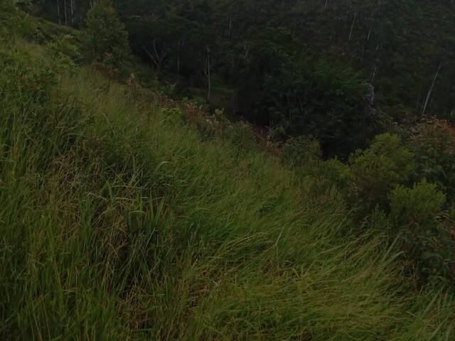 Área para Venda em Igaratá - 5