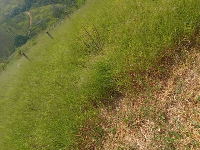 Área para Venda em Igaratá - 4