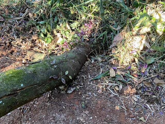 Terreno para Venda em Igaratá - 4