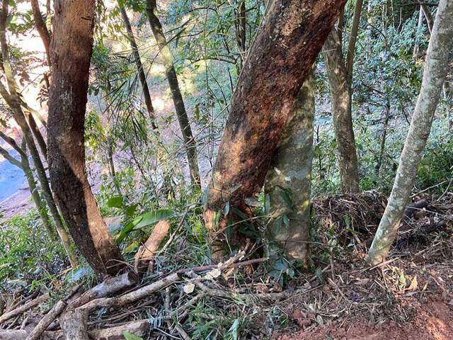 Terreno para Venda em Igaratá - 5