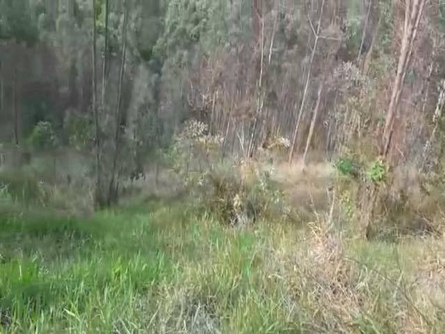 #61 - Área para Venda em Nazaré Paulista - SP