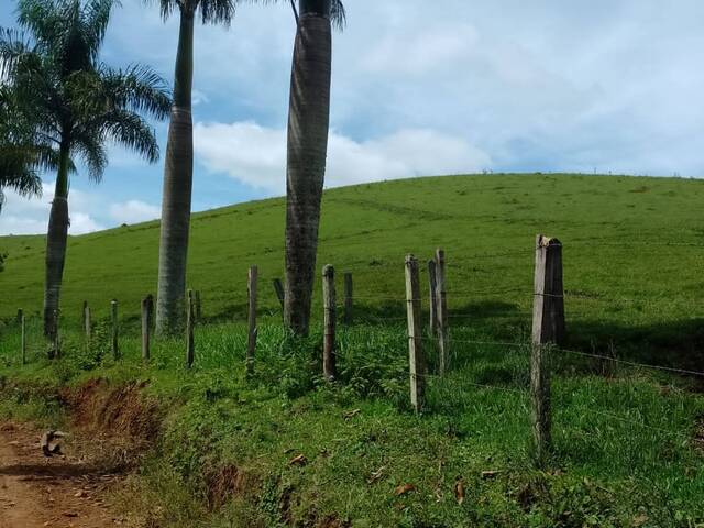 #49 - Fazenda para Venda em Igaratá - SP