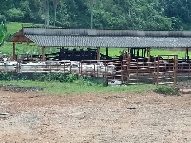 Fazenda para Venda em Igaratá - 4