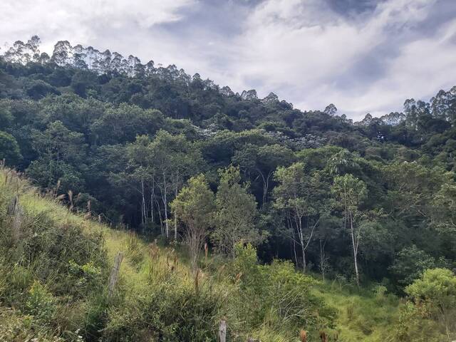 Área para Venda em Igaratá - 4