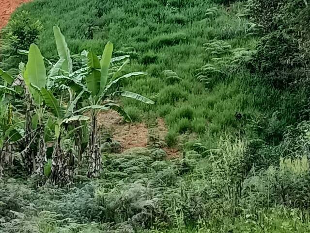 Terreno para Venda em Igaratá - 2