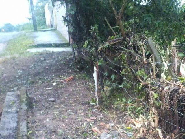 #99 - Terreno para Venda em Ubatuba - SP