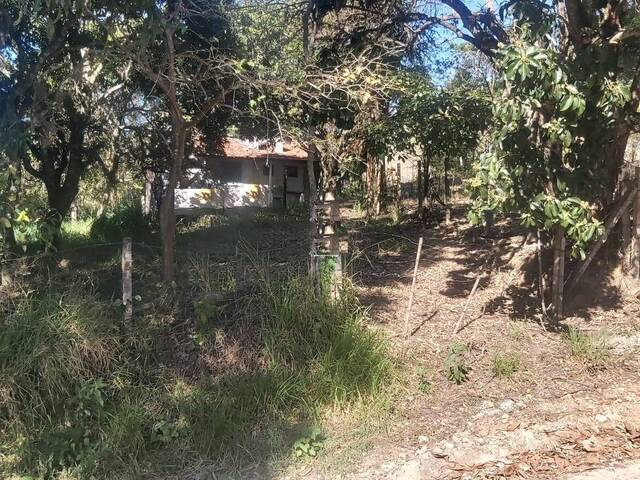 #117 - Área para Venda em Santa Branca - SP